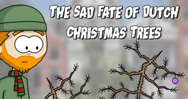 The Sad Fate of Dutch Christmas Trees